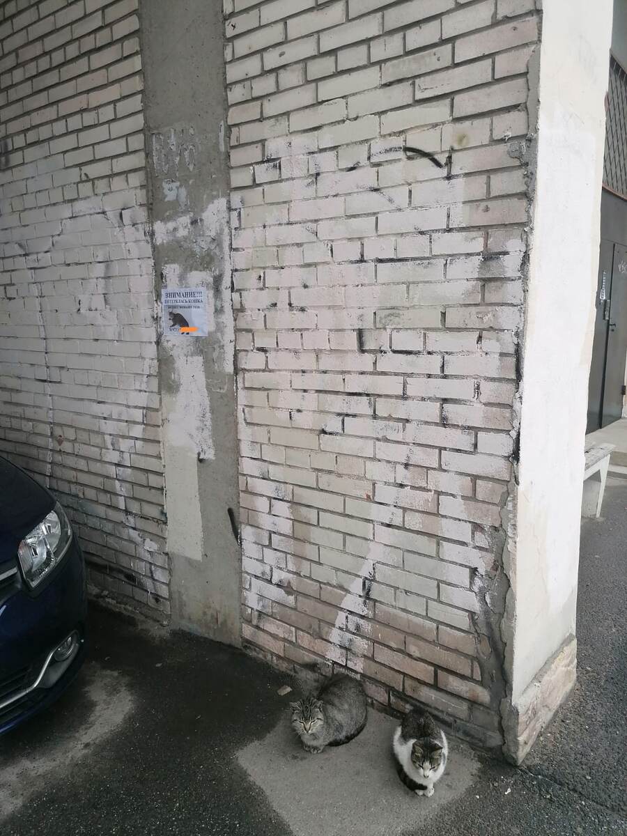 А может кандидаты?!)