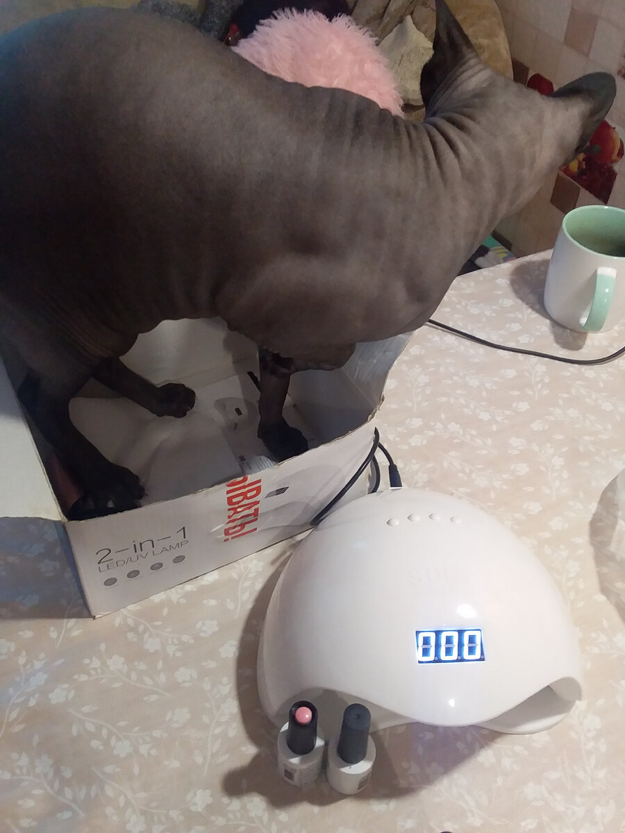 Тут как тут!