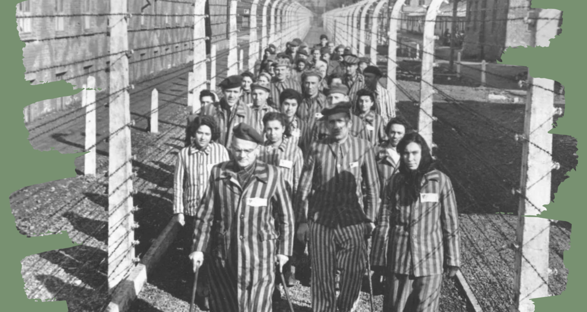 Коллаж создан автором канала в Canva