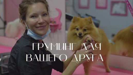 Оборудование для груминг салона. Doggo груминг салон. Оборудование для грумера. Doggo груминг салон. Из контейнера салон.