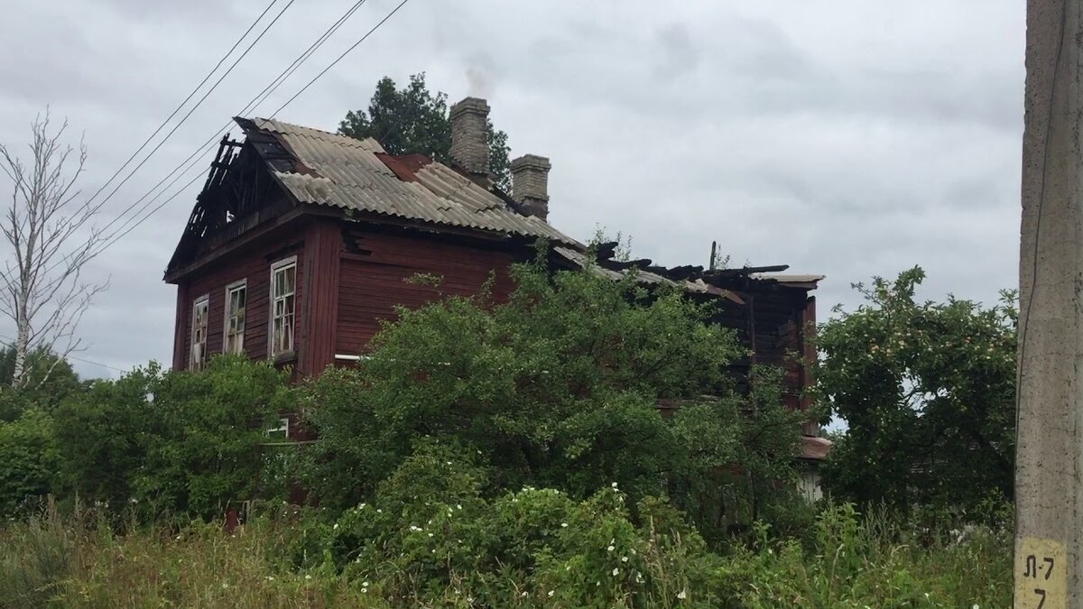 фото из открытых источников