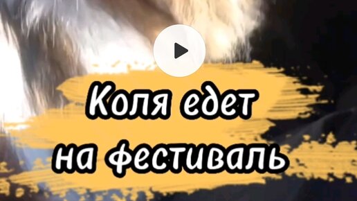 Хвостатое счастье дзен буся и баня Хвостатое счастье дзен буся и баня