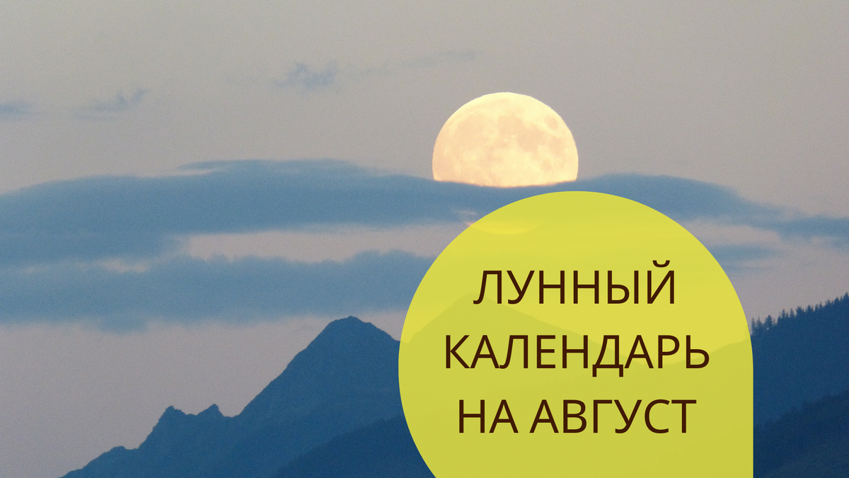 В августе наступает самый приятный момент – сбор урожая! Правда, других хлопот у дачников не убавляется.