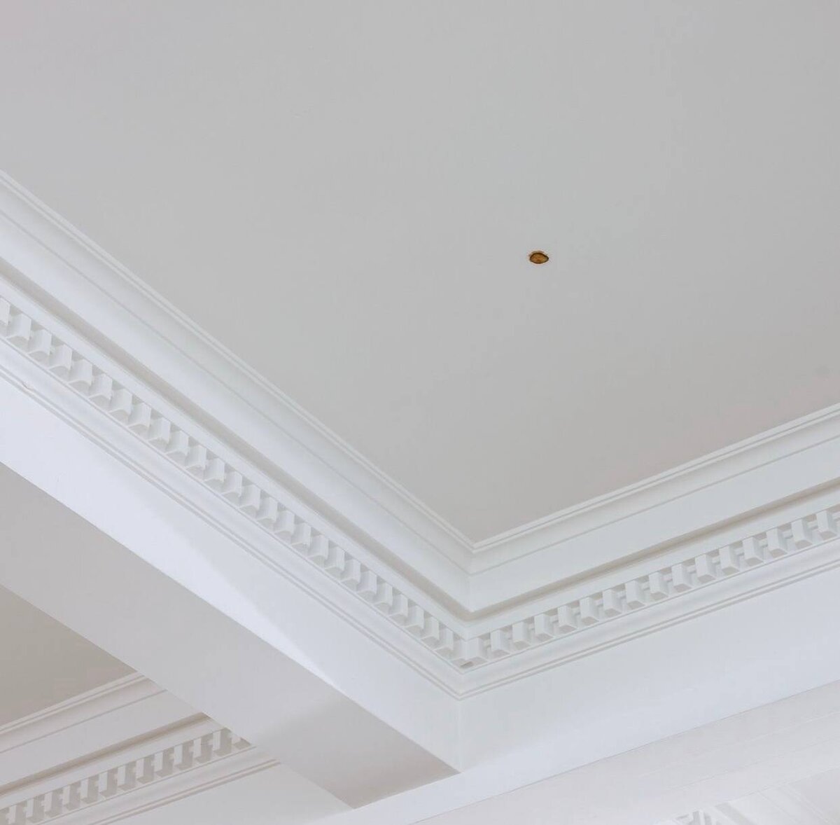 Самый дорогой огурчик 