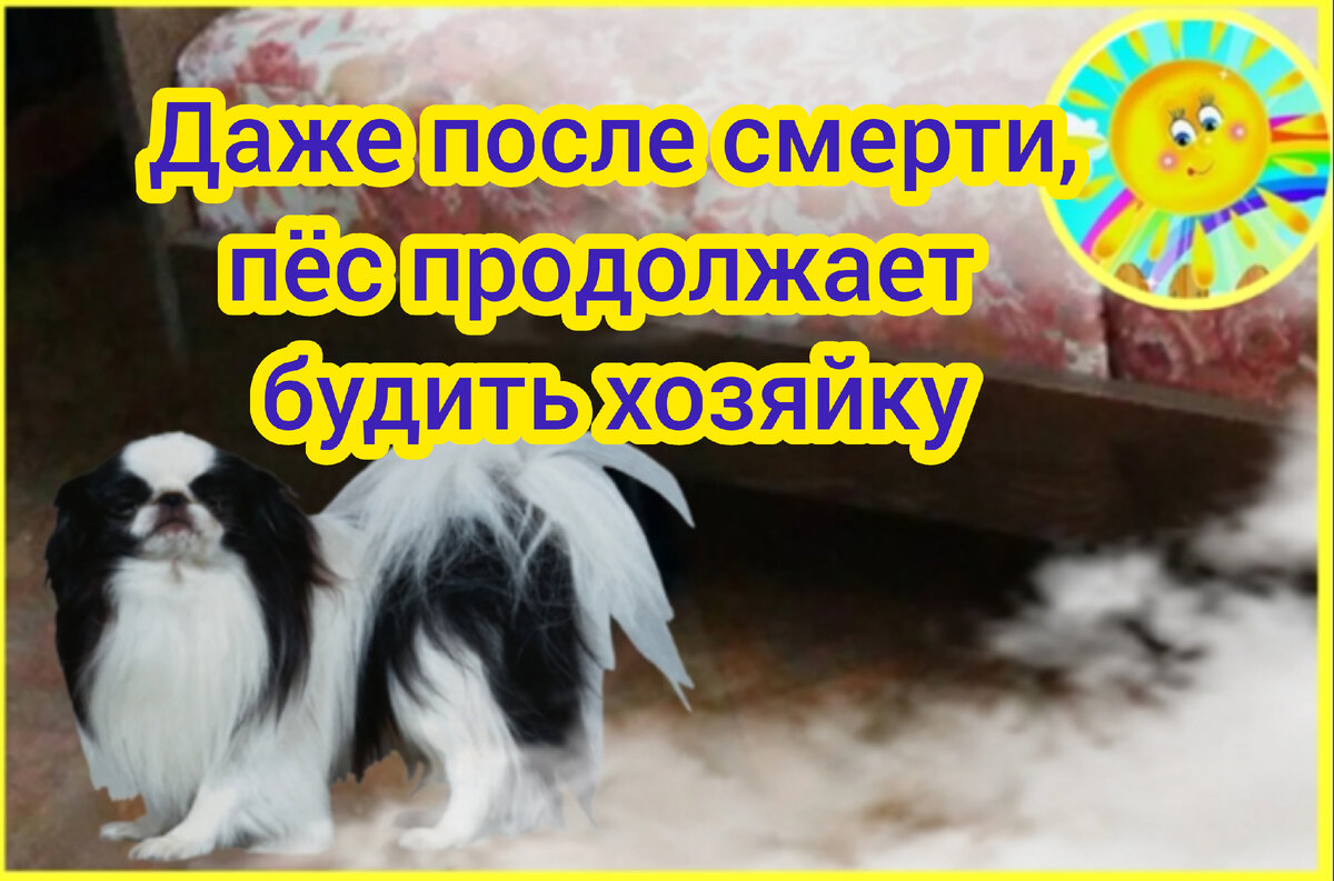 Личный архив 