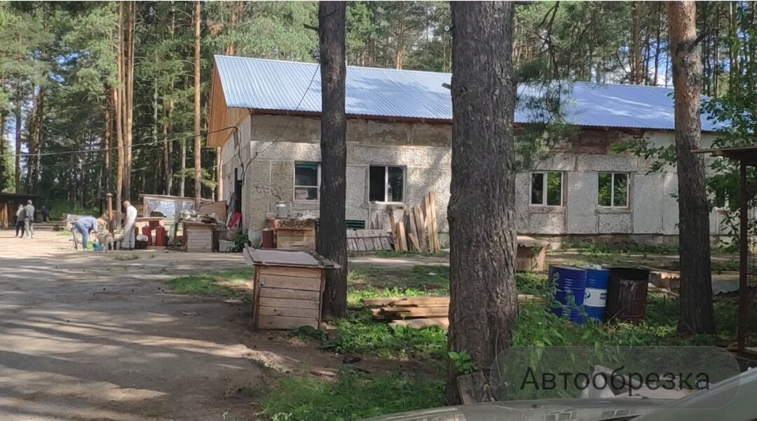 Домик в   сосновом  бору .