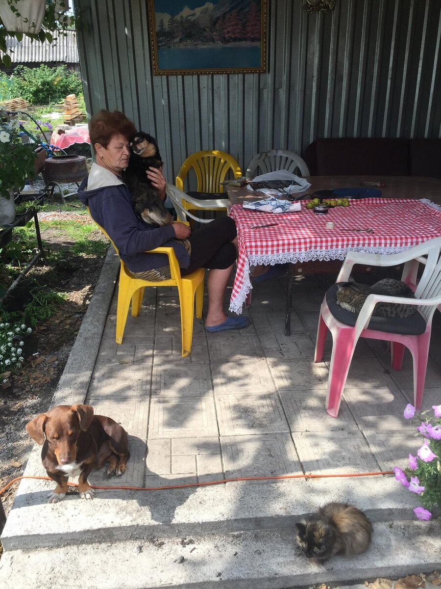 Те, что на пристрой, на переднем плане - пёсик и кошечка