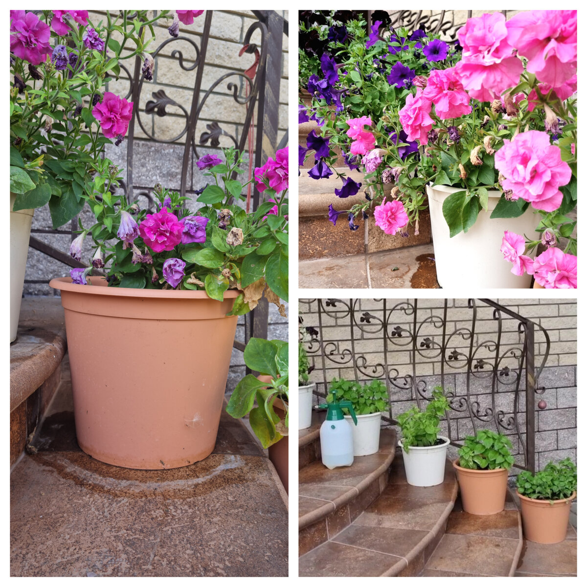 Кашпо из OBI. Вид вполне приятный