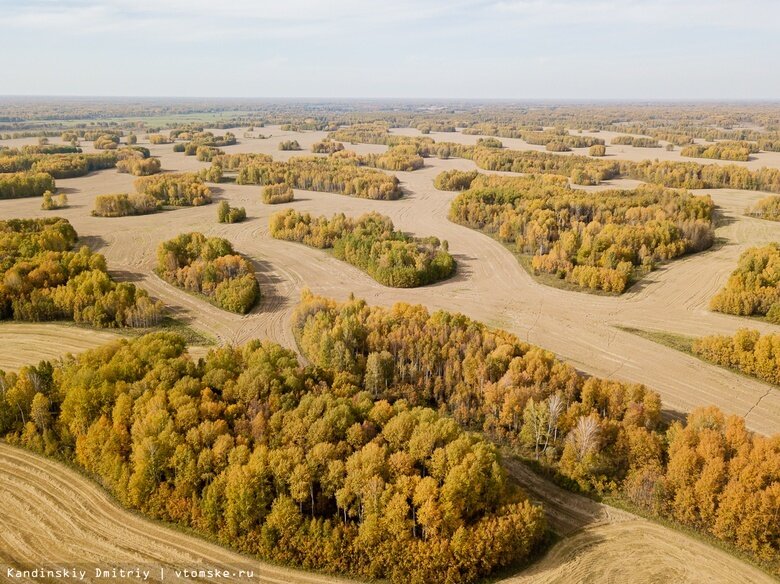    Фото: Дмитрий Кандинский / vtomske.ru