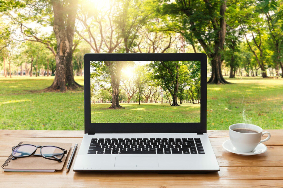 A screen makes the computer. Ноутбук на природе. Рабочее место на природе. Ноутбук в интерьере. Фон для ноутбука.