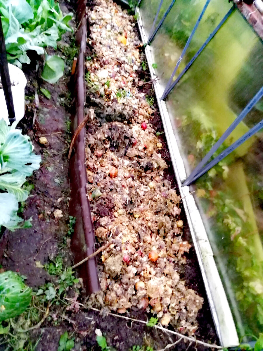 Вот что я натворил) 