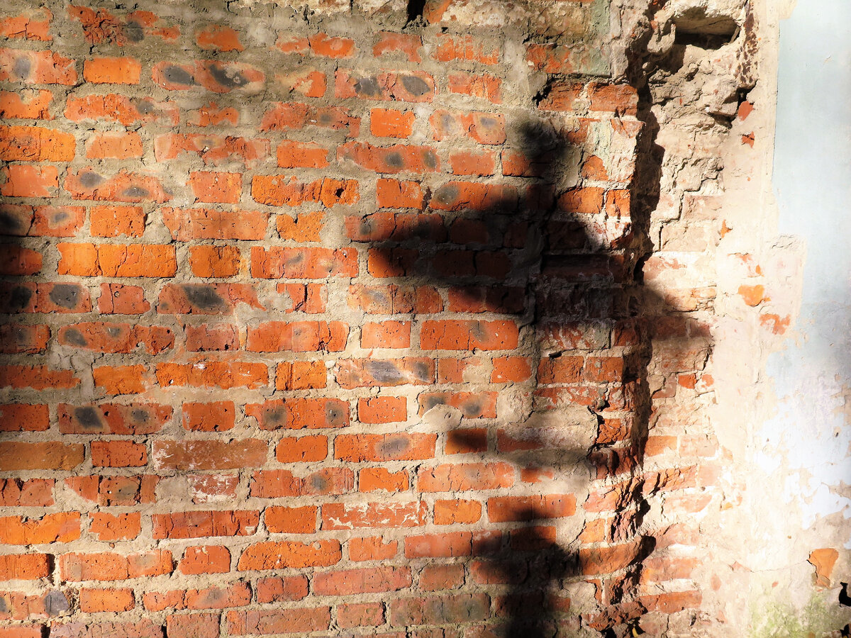 Фотография авторская. Москва. 8 котября... оставлю опечатку 2022 года. Стена XVII века.