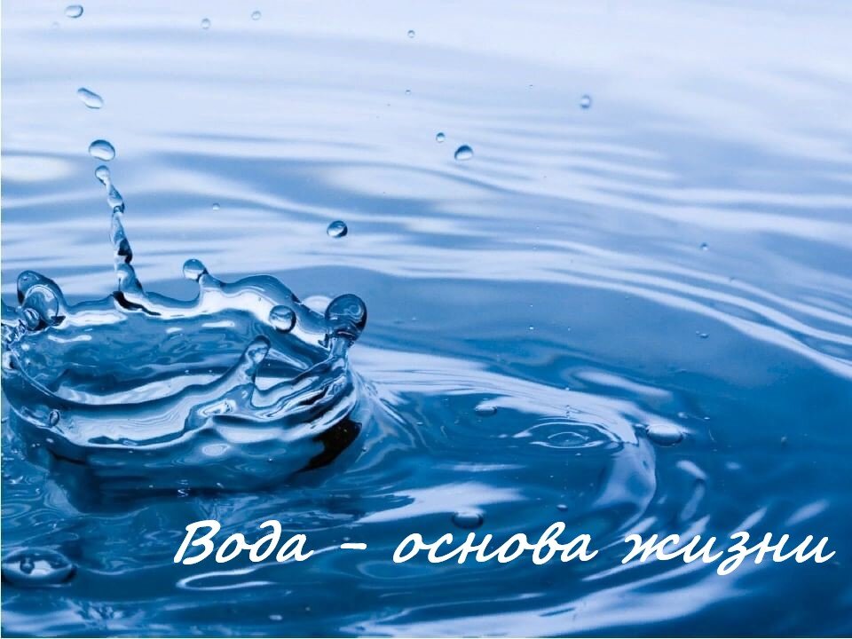 Вода - основа жизни