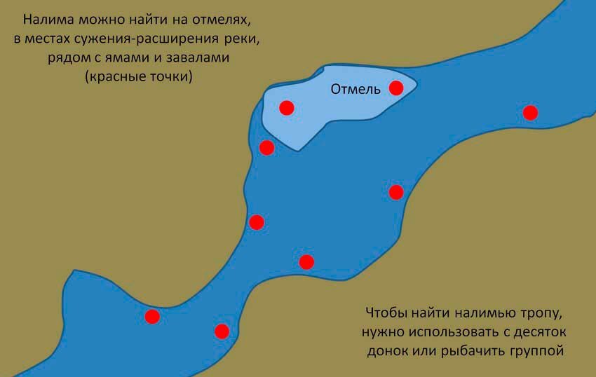 На что можно ловить налима осенью