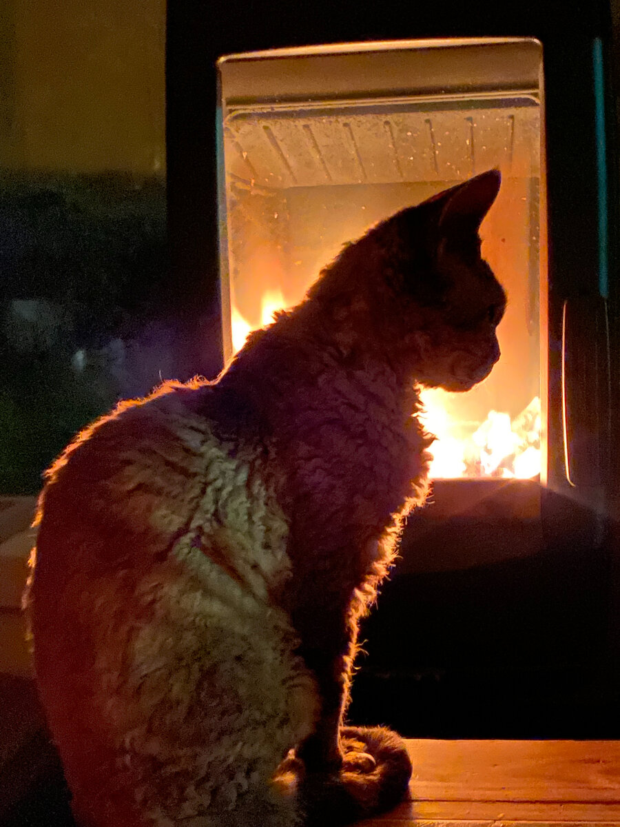 Моя идиллическая картина Мира)))