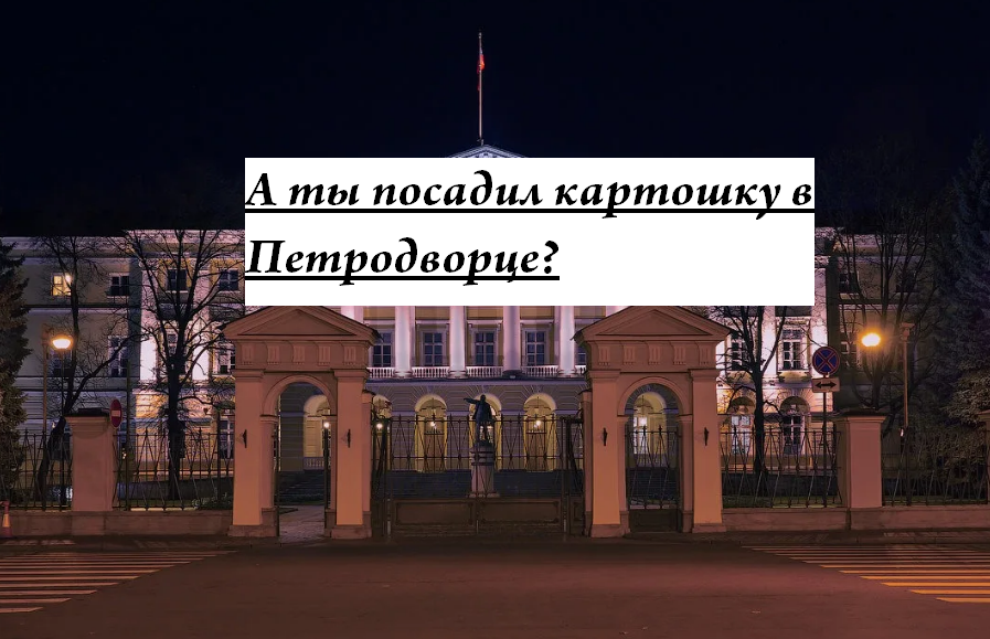 Фотоколлаж автора канала на основе части фото Смольного