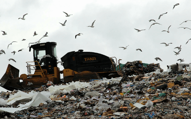    Фото: tvernews.ru