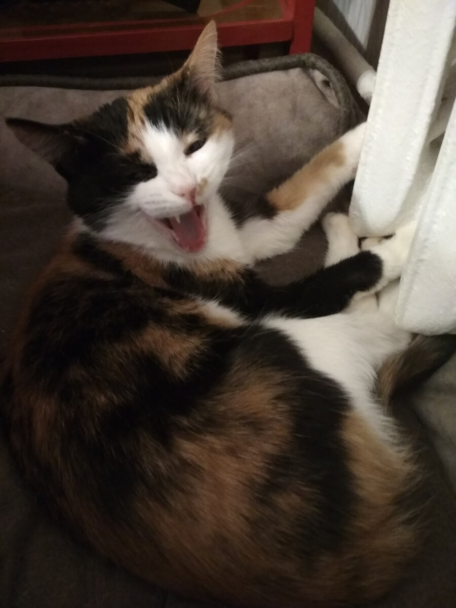 Острые зубы на месте