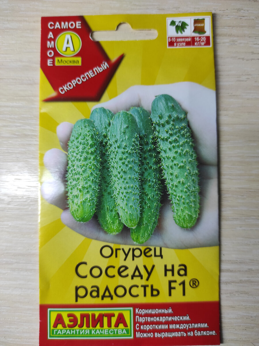 огурец Соседу на радость, фото автора