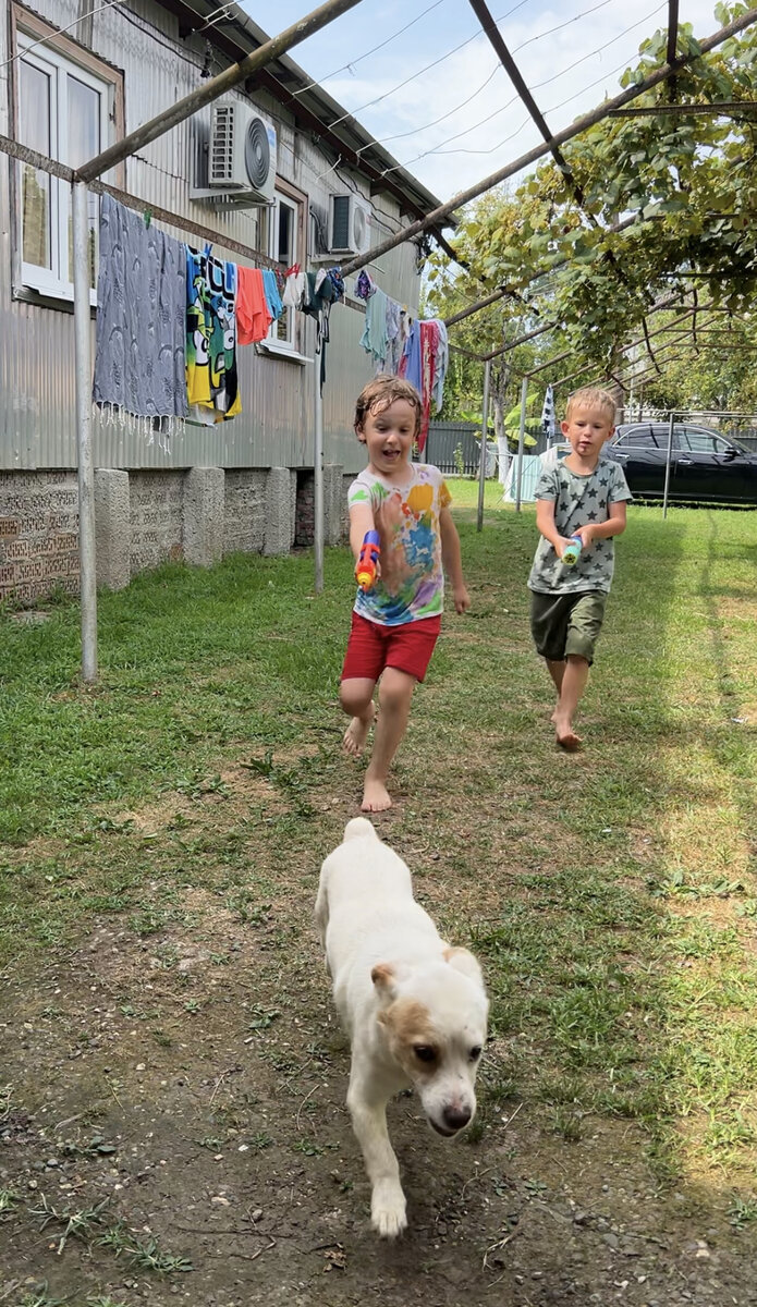 Нашла им водные пистолеты