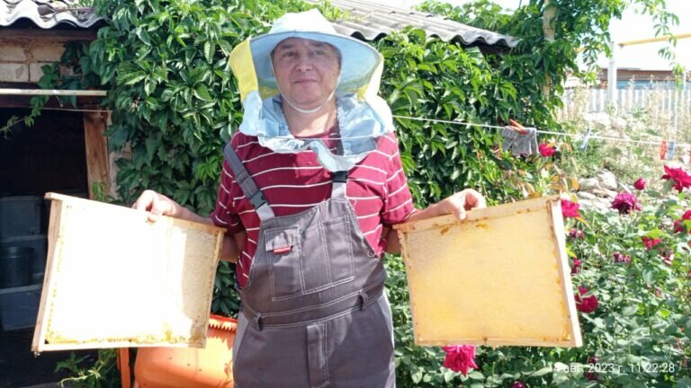    Оренбуржец Юрий Войник: Было интересно, как пчелы могут из капельки нектара делать мед Кристина Просвиркина