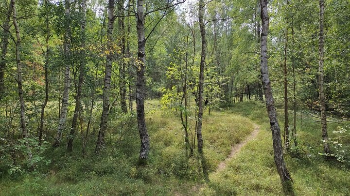 ФОТО: VICTOR LISITSYN/GLOBALLOOKPRESS