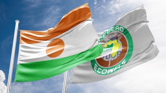    Reuters: в ECOWAS назвали плодотворной встречу с мятежниками в Нигере Даниил Шалонников