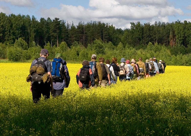 Походы выходного. Поход выходного дня. Туризм в Подмосковье. Походы по Подмосковью. Туристические походы Подмосковье.