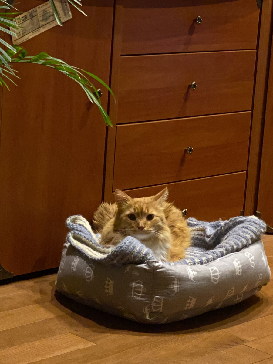 Посмотрите, какой он помятый… фото сделано в воскресенье вечером 3 сентября