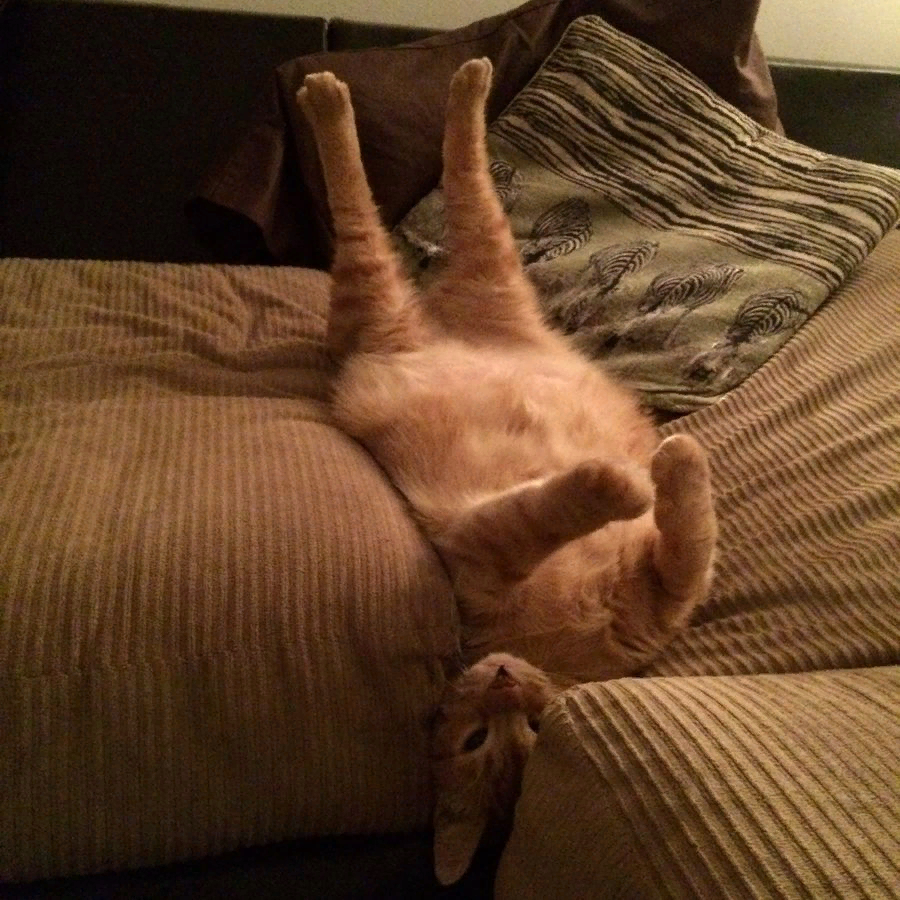 источник - Яндекс. Картинки.