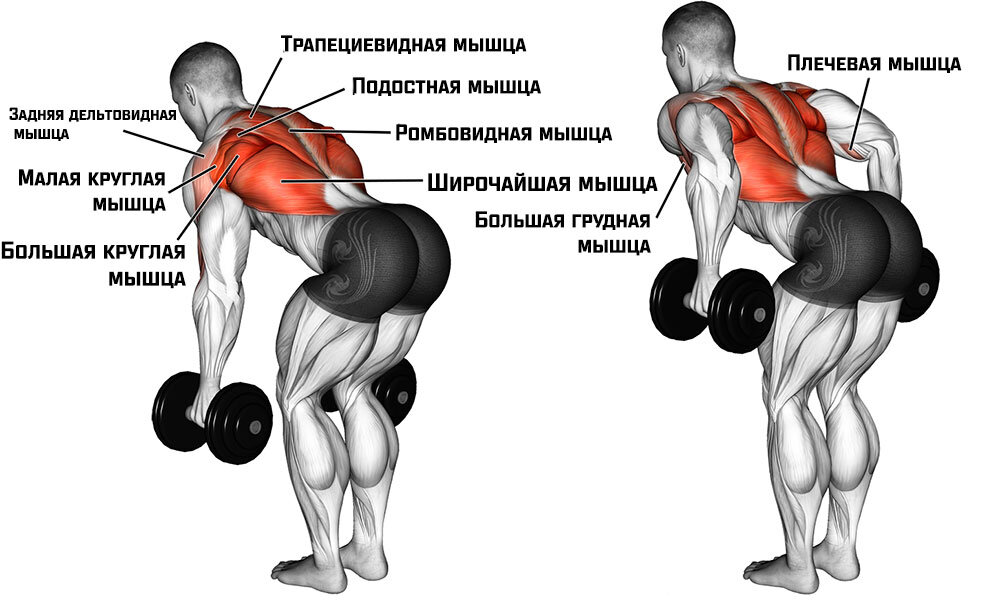 Как Накачать Широчайшие Мышцы Спины | Широкая Спина