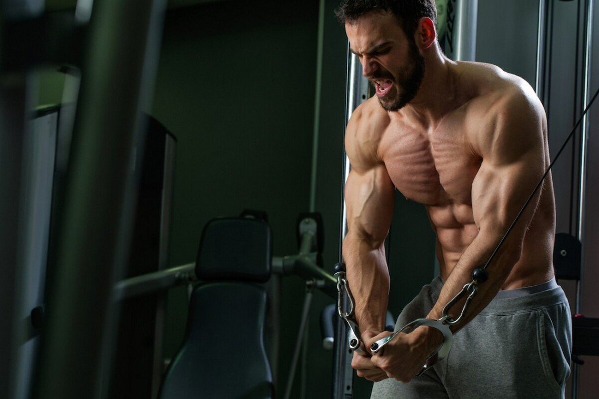 Lower pecs Machine