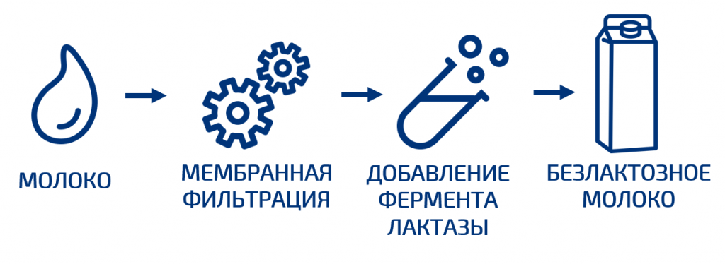 Молоко введение. Технологическая схема производства безлактозного молока. Получение молочных продуктов биотехнологии. Получение молоко. Фильтрация молока