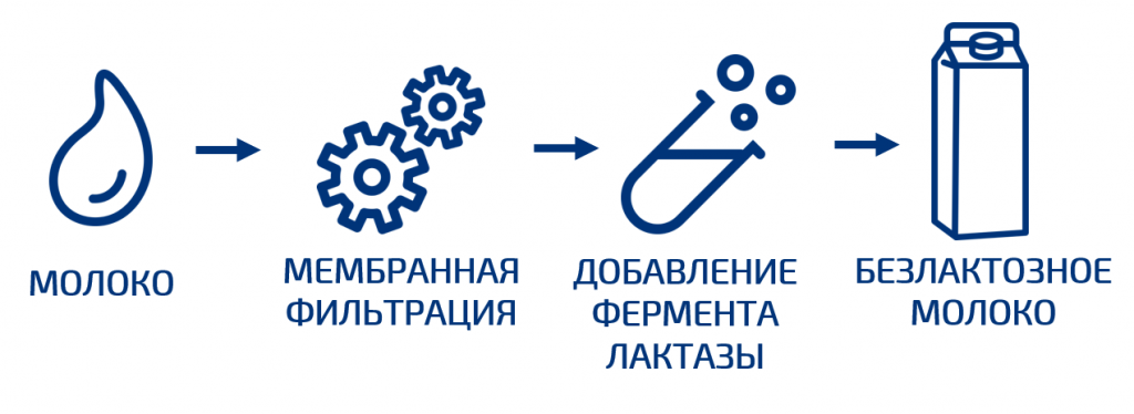 Получение молока. Технологическая схема производства безлактозного молока. Получение безлактозного молока. Безлактозное молоко технология. Оборудование для производства безлактозного молока.