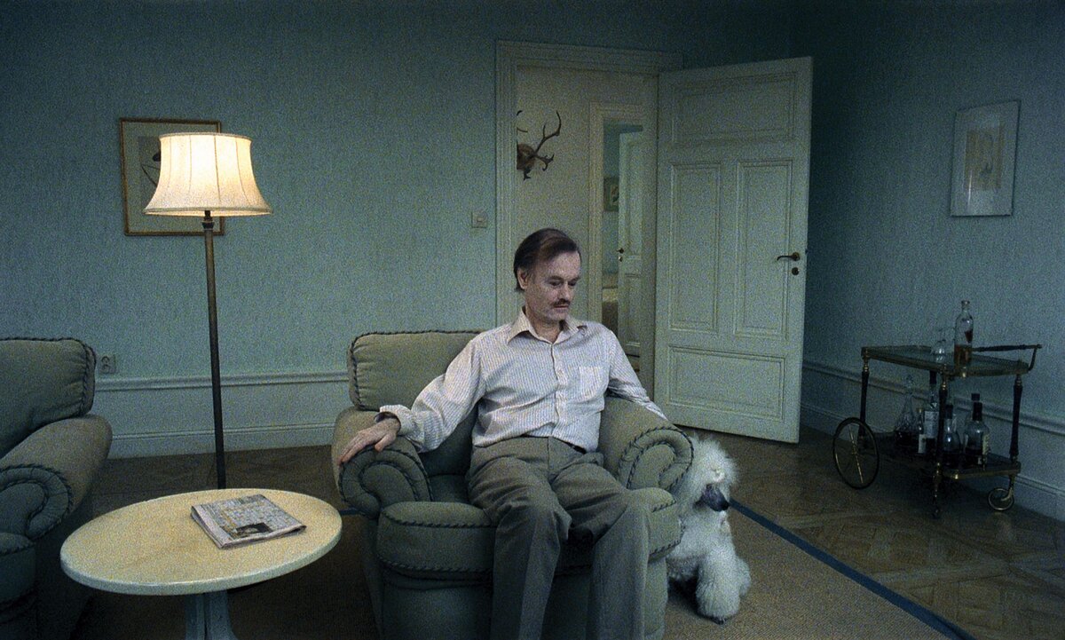 "Это 6 шедевров мирового кино": Рекомендует режиссер Павел Павликовский ...