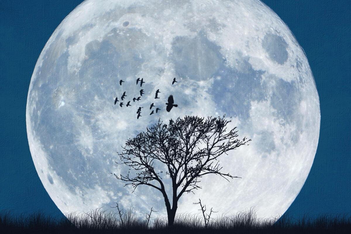 фото из интернета