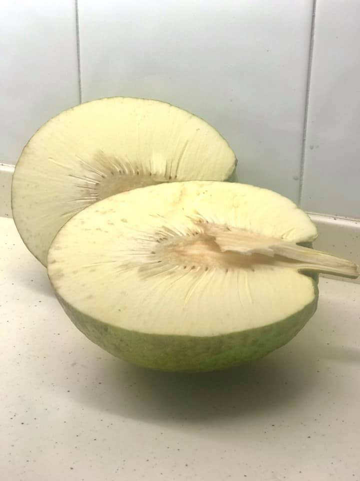  Плод хлебного дерева⠀