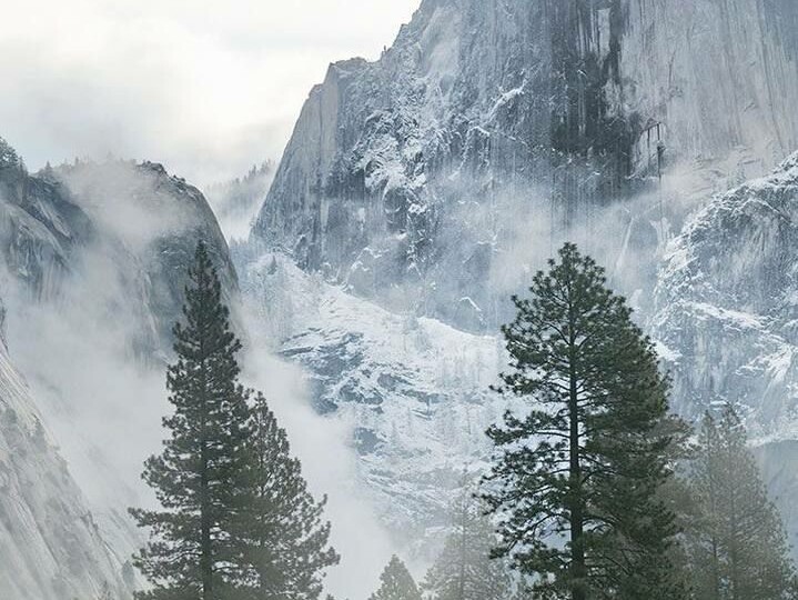 Они говорили падшая....