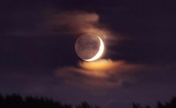 Фото: Яндекс.Картинки