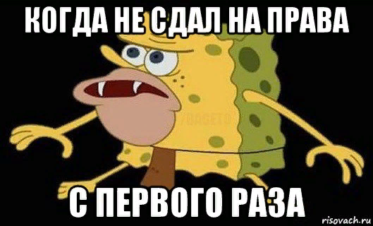 Почему спанч боб не может сдать экзамен по вождению