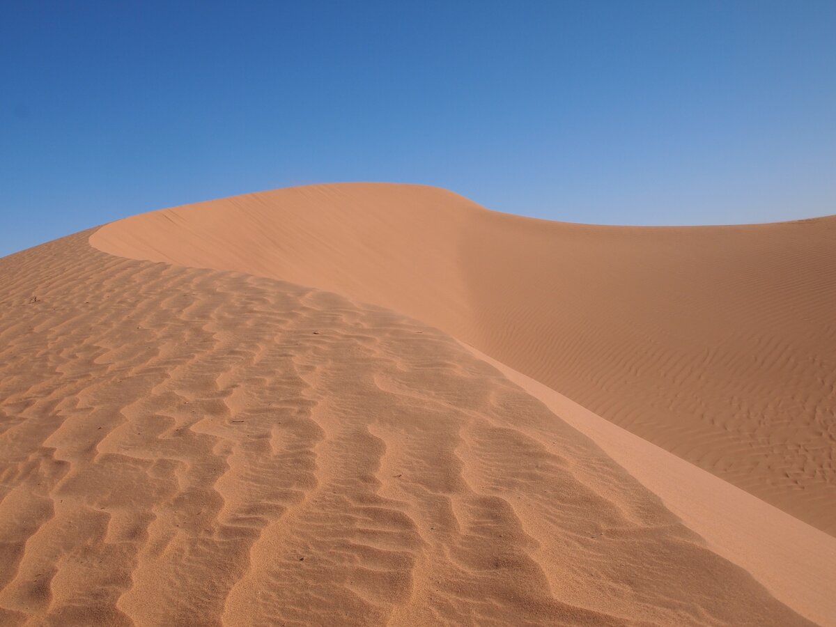 Пустыня Сахара зимой или 50 оттенков песочного и один голубой | Сама себе  турагент | Дзен