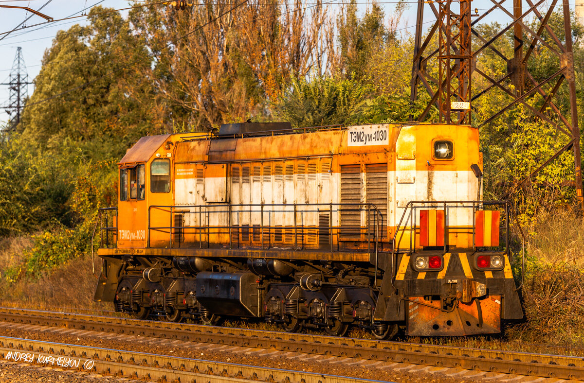 Тепловоз ТЭМ2УМ-1030, фото с сайта https://trainpix.org/, автор Andrey Kurmelyov  