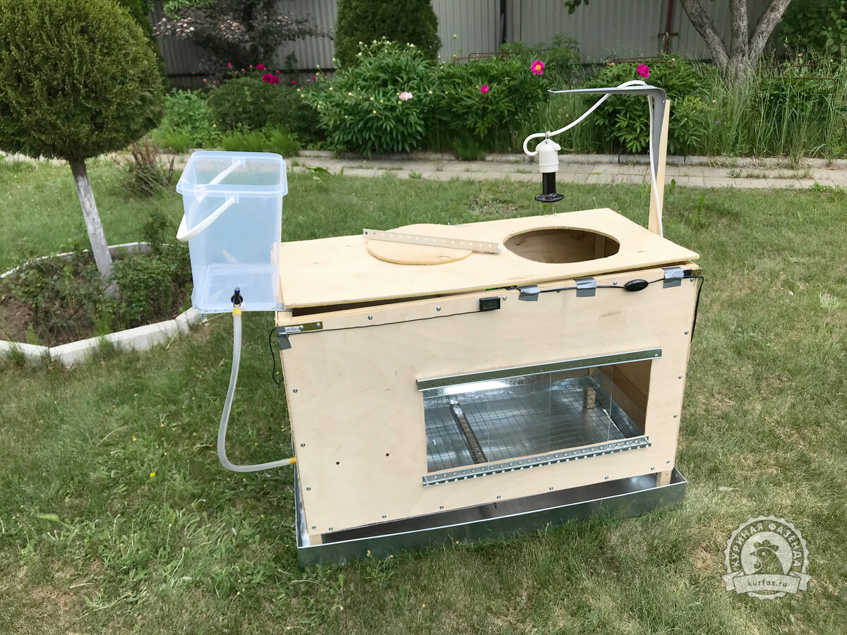 Необычный брудер для цыплят своими руками