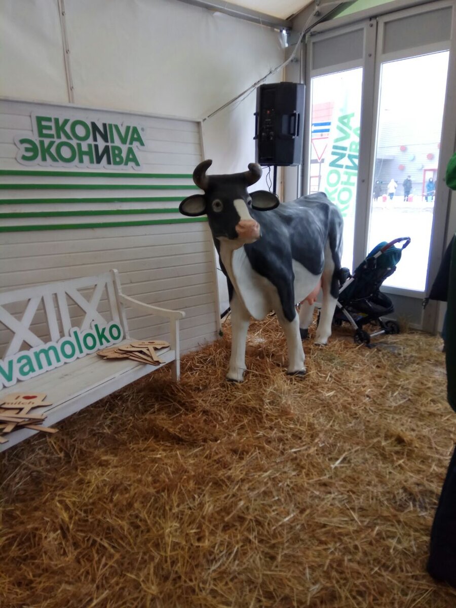 Павильон где проходила акция