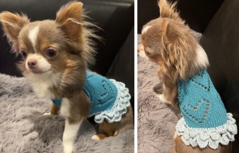 Вязаную одежду для собак купить в СПб