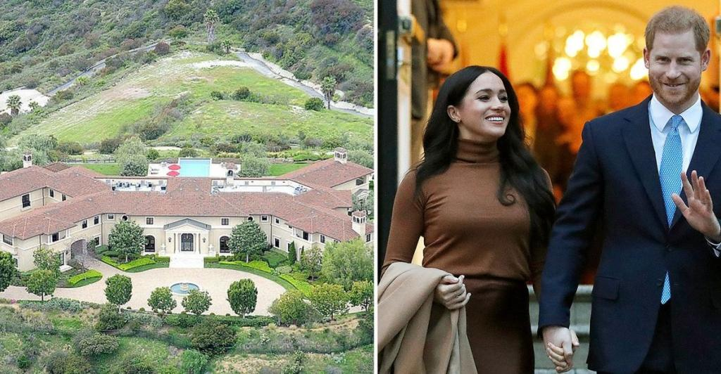 Фотография взята из источника yandex.ru 