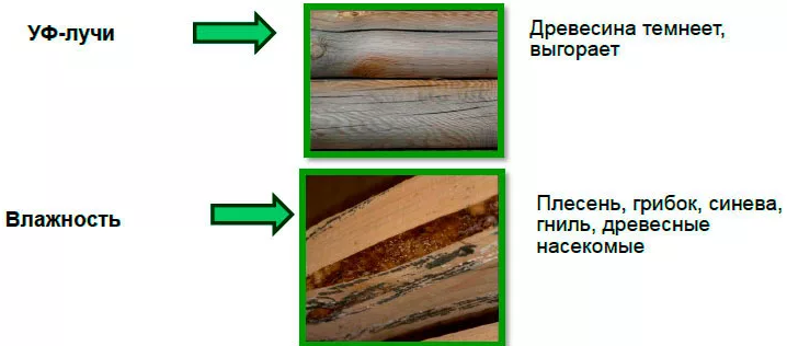 Фотография взята из источника kraski-net.ru