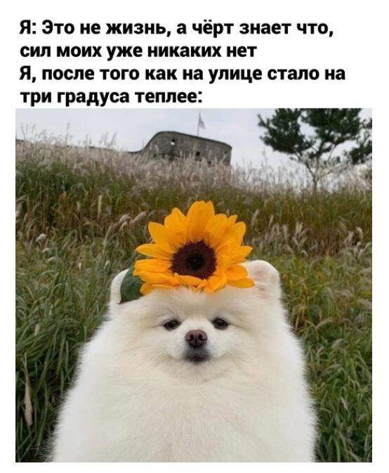 Как говорится: солнце выглянуло и жить захотелось. 