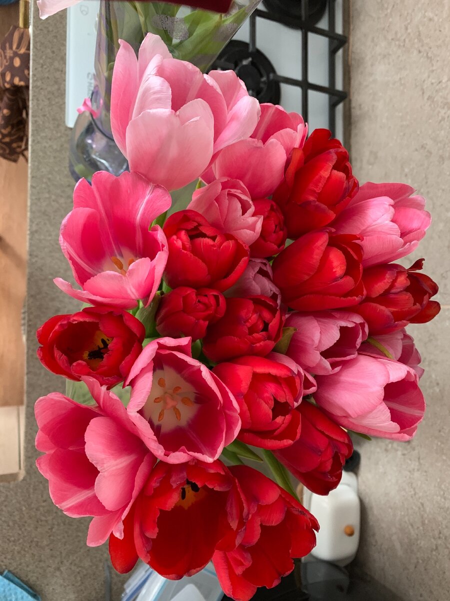 Это цветы  для настроения. Фото автора 