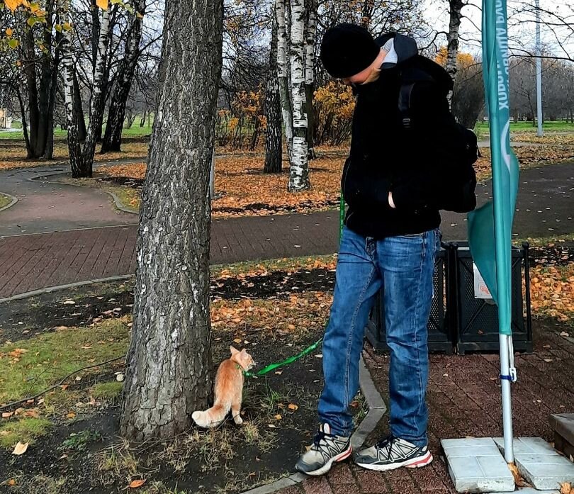 Наша Шарик всегда с нами!